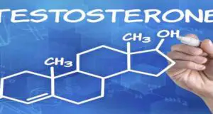 Foods That Increase Testosterone Naturally