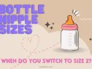 bottle nipple sizes